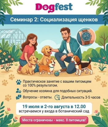 Ամառային սեմինարներ Ձեր և Ձեր չորքոտանի ընկերների համար շան հոգեբան Ռոլանդ Պողոսյանի հետ DogFest-ից: