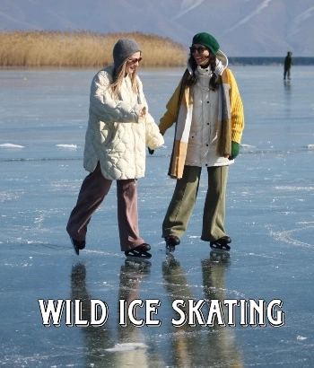 Չմուշկներ վայրի սառույցի վրա 